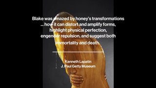 5. A nude model is drenched in honey and interviewed, starting at 01:44. From photographer Blake Little's 2015 "Preservation" photoshoot