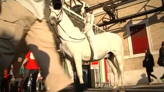 7. Naked white bunny-girl rides a white horse in “L’Anno Del Coniglio Bianco. By Franco Losvizzero 2011-Performance. Macro Museum”