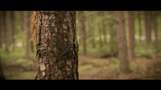 3. naked woman in the forest, clearly at 0:43