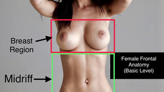 1. Female Frontal Anatomy – fully shown