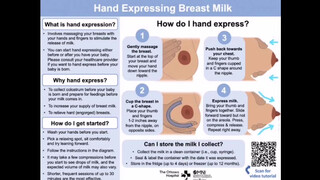 1. Hand express #3