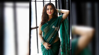 5. Indian model in transparent saree