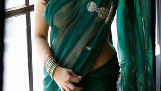 3. Indian model in transparent saree