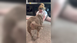 2. Plenty of ass in reflection