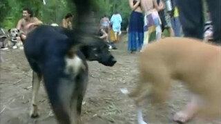 5. 3:32 is the first glimpse, then it’s all “downhill” from there