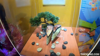 4. Visite museum and suck