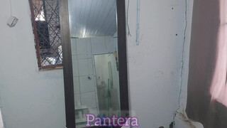 6. Pantera