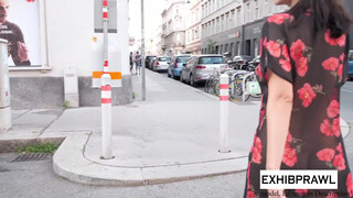 1. See through Dress Public Walk