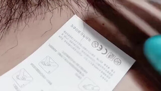 4. Labia need not be present for bush lovers to get their kicks