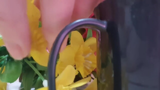 pussy Slip at 37 seconds