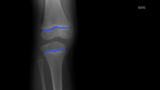 5. Vagina With Full Bush @2:47