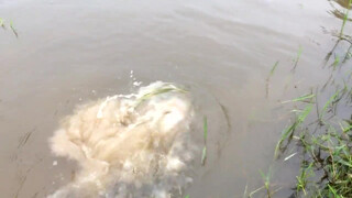 1. Amazing girl Fishing, Khmer Real Life Fishing At Siem Reap Cambodia starts at 1:23 and throughout