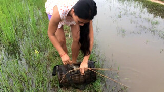 9. Amazing girl Fishing, Khmer Real Life Fishing At Siem Reap Cambodia starts at 1:23 and throughout