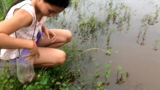 2. Amazing girl Fishing, Khmer Real Life Fishing At Siem Reap Cambodia starts at 1:23 and throughout