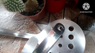 3. Pussy in mirror reflection.