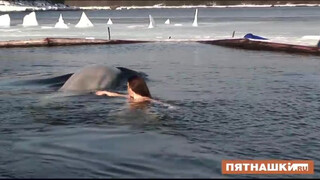 Swimming naked with dolphins
