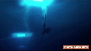 2. Swimming naked with dolphins
