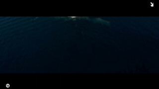 1. playboy tv , a new store begain