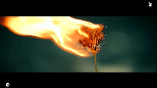 8. playboy tv , a new store begain