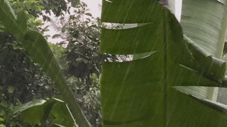 3. Begins with naked girls bathing in a waterfall