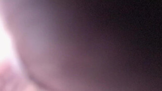 2. Mirror reflection vulva