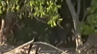 9. Lots Of Boobs 2:28 2:41 4:38 5:32 5:34 7:13 7:28