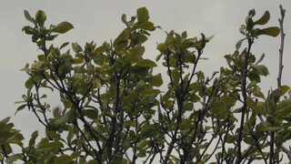 5. Boobies under water @ 5:42