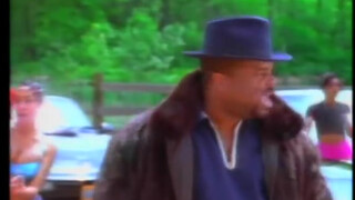 3. Sir Mix-a-lot liked more than Big Butts. (2:35) (1994 music video)
