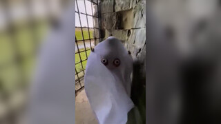 4. spooky
