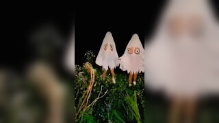 6. spooky