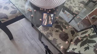 2. pussy in mirror 0:00 – 0:07, 0:16 – 0:34, 1:06 – 1:08, and 1:29 – 1:31