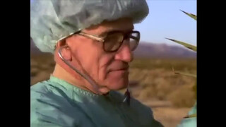 Pandora Peaks (2001)