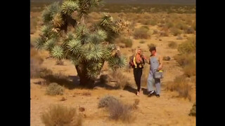 8. Pandora Peaks (2001)