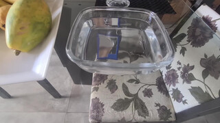 5. Mahzinha Santos | pussy flash in mirror 0:37, 0:45, 0:53 – 0:55, 1:39 – 1:42, and 2:06 – 2:09