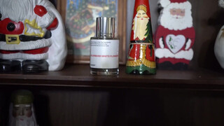 2. Christmas Micro Bikini Try On Haul Ft Dossier