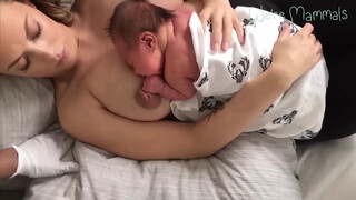 1. Mama Milk
