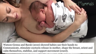 3. Mama Milk