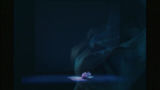 2. Artistic Dance