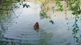 7. nipple at 6.15 , ass 8.24 and more