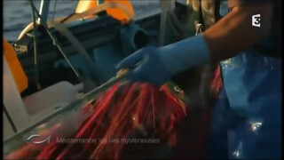 7. Beach titties in Greece