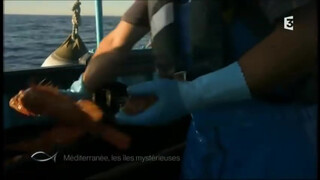 8. Beach titties in Greece