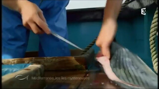 9. Beach titties in Greece