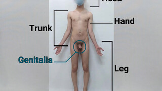 5. Anatomy of a real man, visual examination of the male genitalia (Danieltp2002)