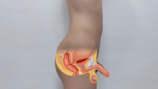 10. Anatomy of a real man, visual examination of the male genitalia (Danieltp2002)