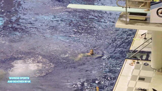 2. Fan Experience 9 NCAA Womens Diving