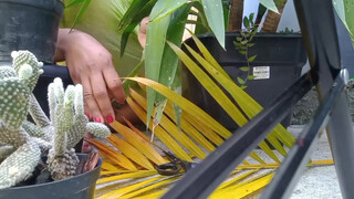 1. Kauane Mello : Slip at 7:42