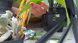 9. Kauane Mello : Slip at 7:42