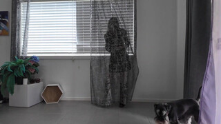 2. transparent #2