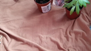 8. pussy in mirror at start