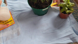 4. Mirror from start